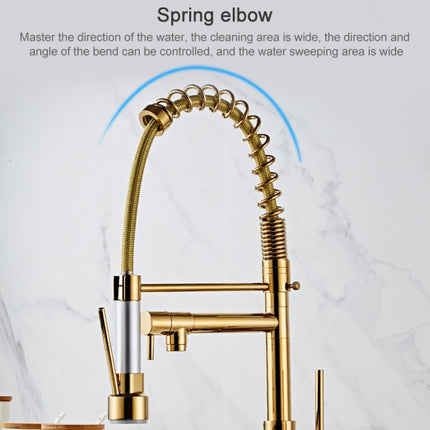 Copper Pull Type Large Spring Double Outlet Kitchen Sink Hot Cold Faucet-garmade.com
