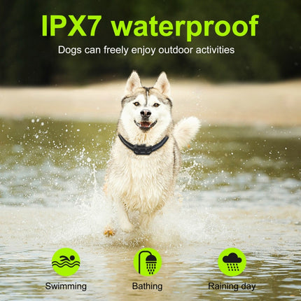 T15 Pet Training Electronic Collar Waterproof Vibration Shock Dog Trainer(Black)-garmade.com