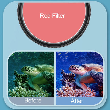 DCA0956_6.jpg@184db39e049e7b5631d3d00874cb38b1