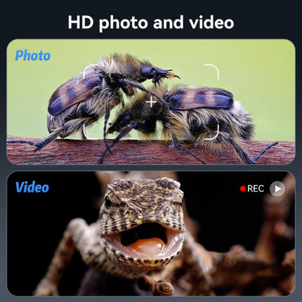 EDA0093274_B3.jpg@5d51e8637713a1febee5b55e9faec406