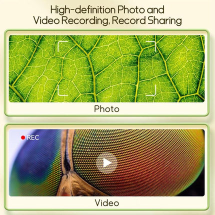 EDA009544801B_5.jpg@2cb3d2fa1f560d6122347af9917c7d9e