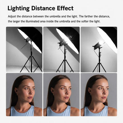 EDA0097975_B12.jpg@7e29554b4356871d99cd6505fd644412