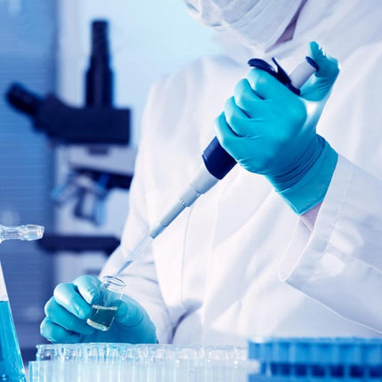 HCB20492_11.jpg@f784d5e34b0942d4cc861504203c416e