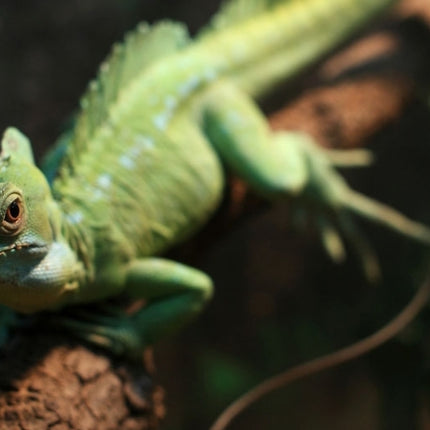 S-DLP-9936_10.jpg@af15f0fcf5ad58459c46554765cc1858