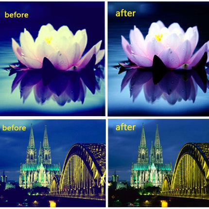 S-DLP-9936_7.jpg@aab20ccd33abe996f7b9d63338a9b697