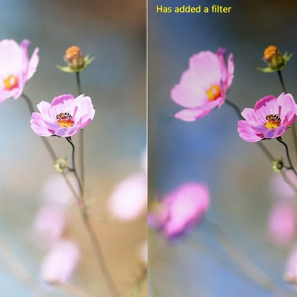 S-DLP-9936_8.jpg@0089a3471e7c43870346ed47c6a33697