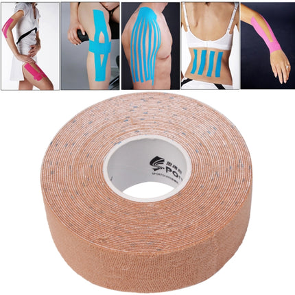 S-PBW-0139.jpg@563b10fe9f5fc1055dba8ce602306b56
