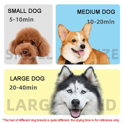 TBD06038539_B7.jpg@1d20f7a366ffe00a50bdf4b33bf80600