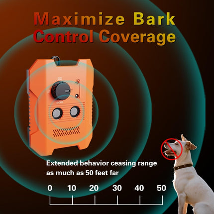 TBD06055227_B1.jpg@74926afff670e4952f76db690bb85b73