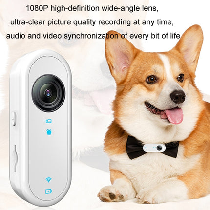 TBD06055476_B4.jpg@f7e2a9bd8ad1dfd7bbefc85d863c968b