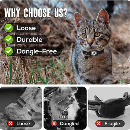 TBD06058347_B6.jpg@a20a43152f11a612d0b3983b662b14bc