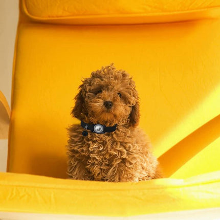 TBD06058347_B9.jpg@3099dbc1308e4a30ca1786fe16114592