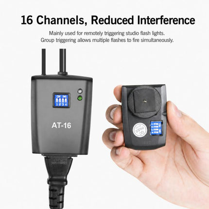 TBD06069701_B1.jpg@98e4e8937b2b93029d24a71de07903b3
