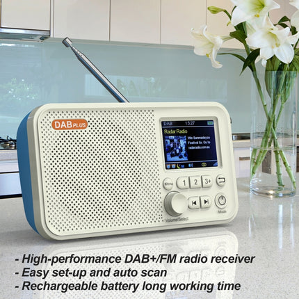 C10 2.4 inch Portable Color LCD FM / DAB Digital Radio, Support BT & TF Card (White)-garmade.com