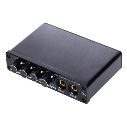 A933 Mini Karaoke Machine System Sound Mixer Amplifier for PC / TV / Mobile Phones, Support RCA in / 2 Channel Mic in(Black)-garmade.com