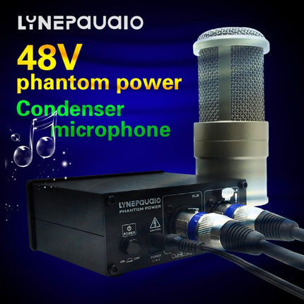 LINEPAUDIO A963 48V Pro Condenser Microphone Phantom Power Source(Black)-garmade.com