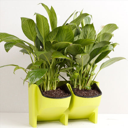 Plant Wall Vertical Indoor and Outdoor Balcony Wall-mounted Flower Pots Creative Combination of Resin Plastic Flower Pots with Removable Pot(Green)-garmade.com