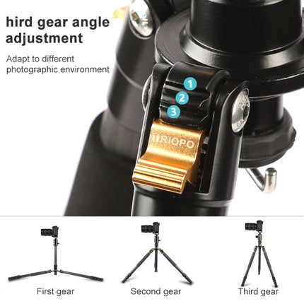 TRIOPO 853 Adjustable Portable Carbon Fiber Tripod with D2-A Ball Head for SLR Camera-garmade.com