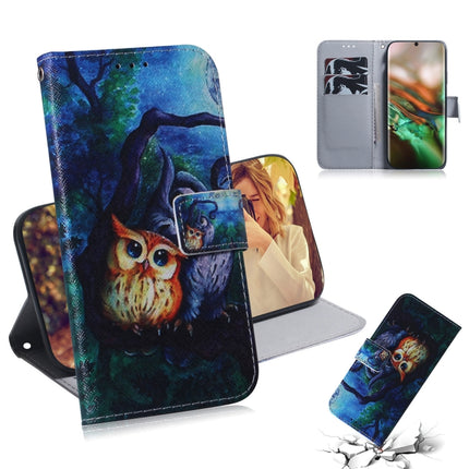 3D Colored Drawing Horizontal Flip Leather Case, with Holder & Card Slot & Wallet For Galaxy Note 10(Oil Painting Owl)-garmade.com