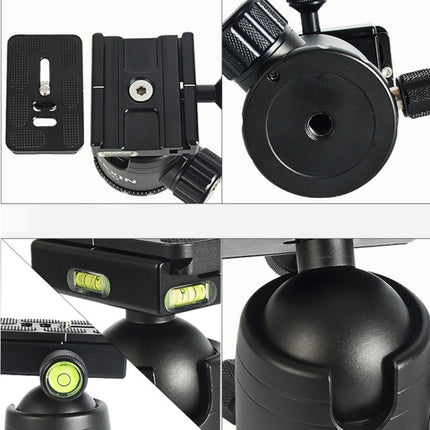 BEXIN W324C G44 Carbon Fiber Tripod Stable Shooting Camera for Vdeo Point Dslr Camera-garmade.com