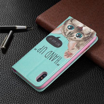 Colored Drawing Pattern Invisible Magnetic Horizontal Flip PU Leather Case with Holder & Card Slots & Wallet For iPhone XS Max(Cat)-garmade.com