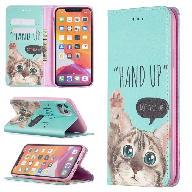 Colored Drawing Pattern Invisible Magnetic Horizontal Flip PU Leather Case with Holder & Card Slots & Wallet For iPhone 11 Pro(Cat)-garmade.com