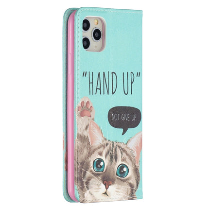 Colored Drawing Pattern Invisible Magnetic Horizontal Flip PU Leather Case with Holder & Card Slots & Wallet For iPhone 11 Pro(Cat)-garmade.com