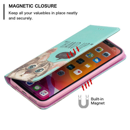 Colored Drawing Pattern Invisible Magnetic Horizontal Flip PU Leather Case with Holder & Card Slots & Wallet For iPhone 11 Pro Max(Cat)-garmade.com