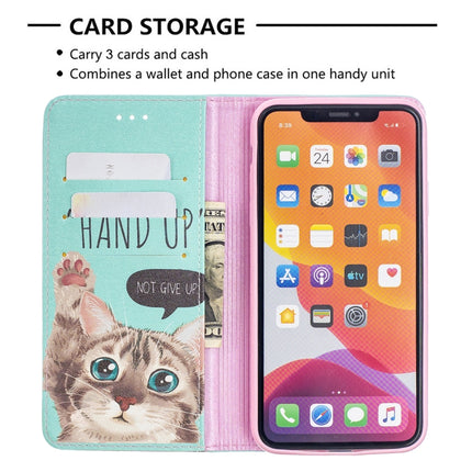 Colored Drawing Pattern Invisible Magnetic Horizontal Flip PU Leather Case with Holder & Card Slots & Wallet For iPhone 11 Pro Max(Cat)-garmade.com