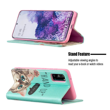 For Samsung Galaxy S20 Colored Drawing Pattern Invisible Magnetic Horizontal Flip PU Leather Case with Holder & Card Slots & Wallet(Cat)-garmade.com