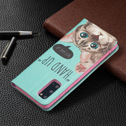 For Samsung Galaxy S20 Colored Drawing Pattern Invisible Magnetic Horizontal Flip PU Leather Case with Holder & Card Slots & Wallet(Cat)-garmade.com