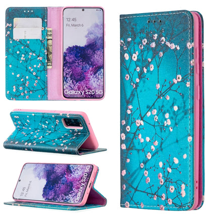 For Samsung Galaxy S20 Colored Drawing Pattern Invisible Magnetic Horizontal Flip PU Leather Case with Holder & Card Slots & Wallet(Plum Blossom)-garmade.com