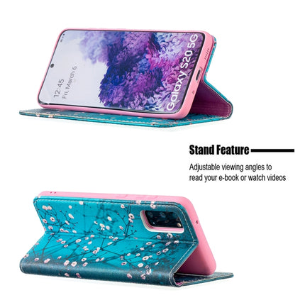 For Samsung Galaxy S20 Colored Drawing Pattern Invisible Magnetic Horizontal Flip PU Leather Case with Holder & Card Slots & Wallet(Plum Blossom)-garmade.com
