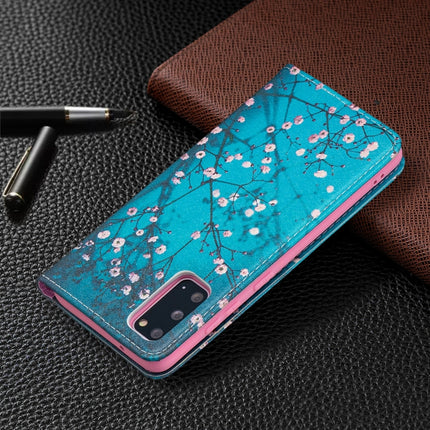 For Samsung Galaxy S20 Colored Drawing Pattern Invisible Magnetic Horizontal Flip PU Leather Case with Holder & Card Slots & Wallet(Plum Blossom)-garmade.com