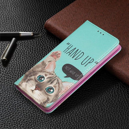 For Samsung Galaxy S20 Plus Colored Drawing Pattern Invisible Magnetic Horizontal Flip PU Leather Case with Holder & Card Slots & Wallet(Cat)-garmade.com