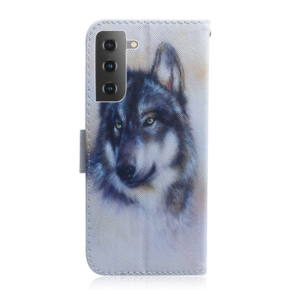 For Samsung Galaxy S21 5G Coloured Drawing Horizontal Flip Leather Case, with Holder & Card Slots & Wallet(White Wolf)-garmade.com