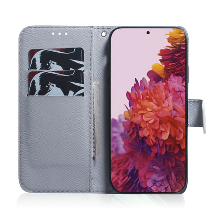 For Samsung Galaxy S21 Ultra 5G Coloured Drawing Horizontal Flip Leather Case, with Holder & Card Slots & Wallet(Oil Painting Owl)-garmade.com