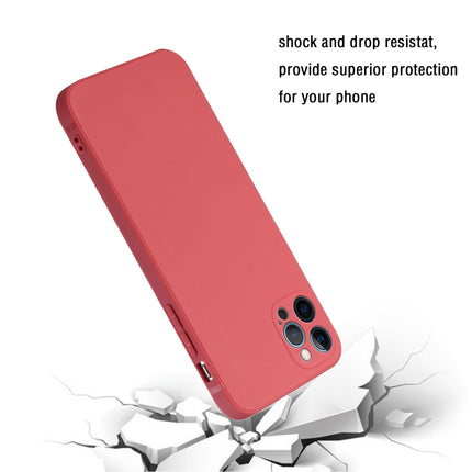 Straight Edge Solid Color TPU Shockproof Case For iPhone 12 Pro Max(Hawthorn Red)-garmade.com