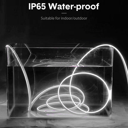 CJ-1206 12V 6A 5m IP65 Waterproof Silicone Neon LED Strip Light(White)-garmade.com