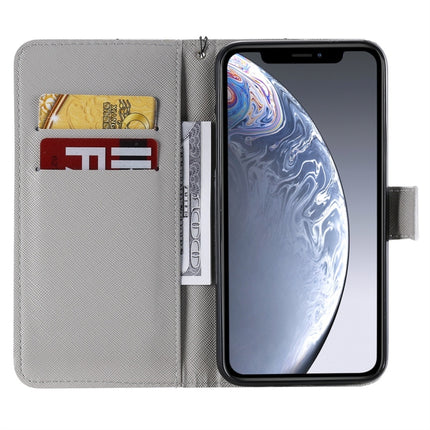For iPhone 11 Pro Max Painted Pattern Horizontal Flip Leather Case, with Wallet & Holder & Card Slots & Lanyard(White Leopard)-garmade.com