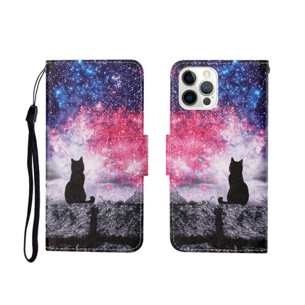 For iPhone 12/12 Pro Painted Pattern Horizontal Flip Leathe Case(Starry Cat)-garmade.com