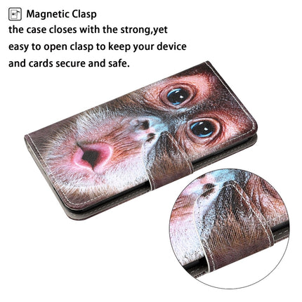 For iPhone XR Painted Pattern Horizontal Flip Leathe Case(Orangutan)-garmade.com