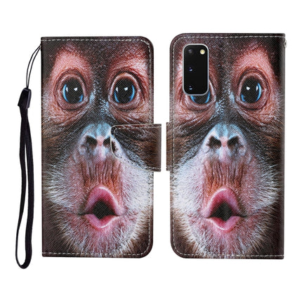 For Samsung Galaxy S20 Colored Drawing Pattern Horizontal Flip Leather Case with Holder & Card Slots & Wallet & Lanyard(Orangutan)-garmade.com