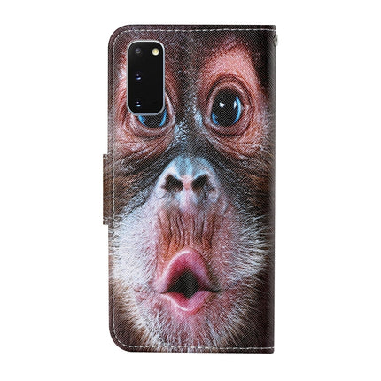 For Samsung Galaxy S20 Colored Drawing Pattern Horizontal Flip Leather Case with Holder & Card Slots & Wallet & Lanyard(Orangutan)-garmade.com