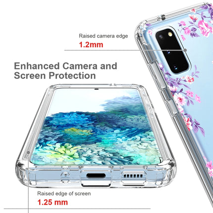 For Samsung Galaxy S20 2 in 1 High Transparent Painted Shockproof PC + TPU Protective Case(Rose)-garmade.com