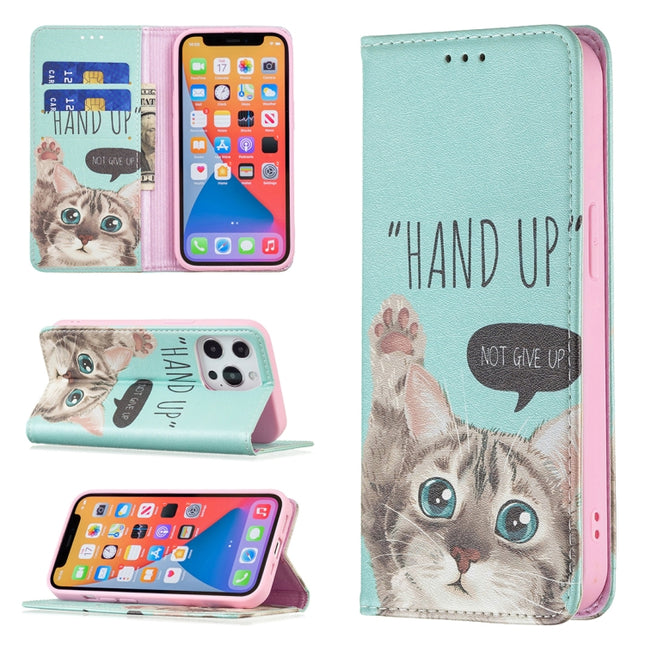 Colored Drawing Pattern Invisible Magnetic Horizontal Flip PU Leather Case with Holder & Card Slots & Wallet For iPhone 13 Pro(Cat)-garmade.com