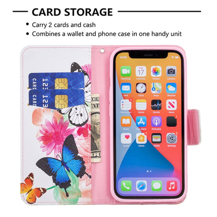 Colored Drawing Pattern Horizontal Flip Leather Case with Holder & Card Slots & Wallet For iPhone 13 mini(Two Butterflies)-garmade.com