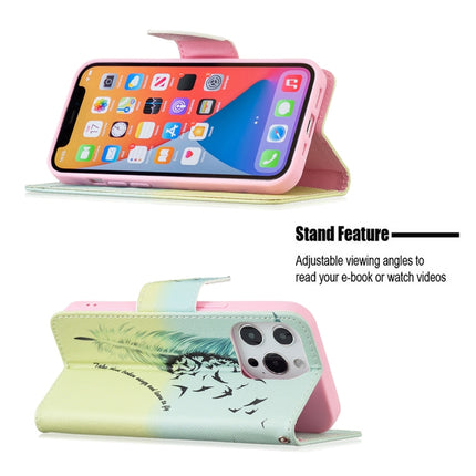 Colored Drawing Pattern Horizontal Flip Leather Case with Holder & Card Slots & Wallet For iPhone 13 Pro(Feather)-garmade.com
