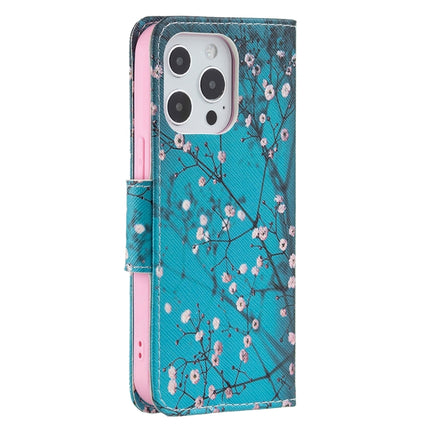 Colored Drawing Pattern Horizontal Flip Leather Case with Holder & Card Slots & Wallet For iPhone 13 Pro(Plum Blossom)-garmade.com