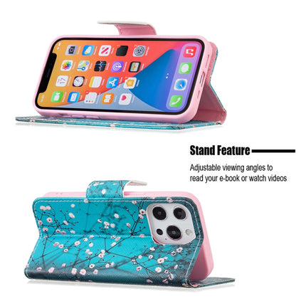 Colored Drawing Pattern Horizontal Flip Leather Case with Holder & Card Slots & Wallet For iPhone 13 Pro(Plum Blossom)-garmade.com